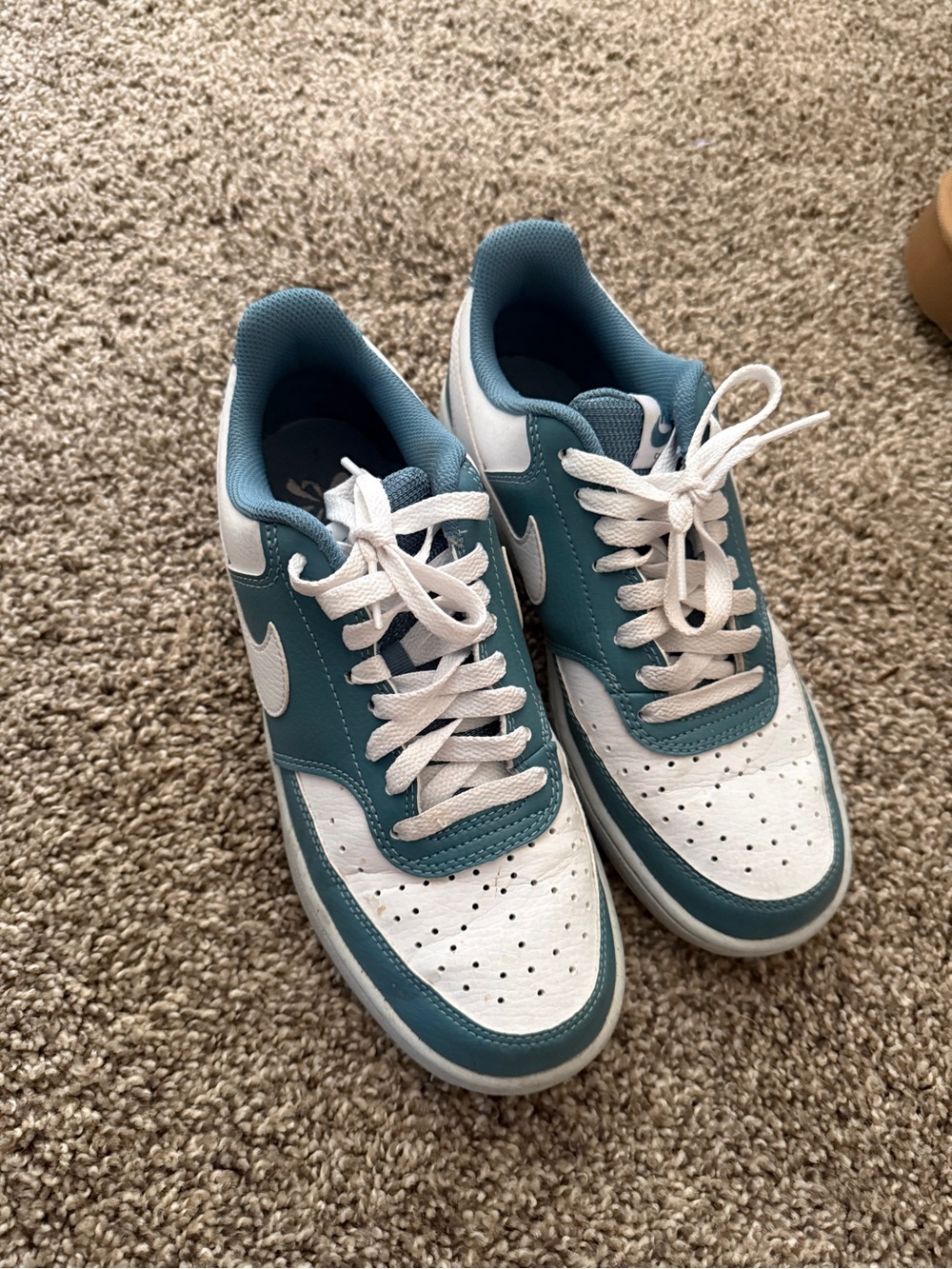 Nike Teal and White Low dunk Sneakers